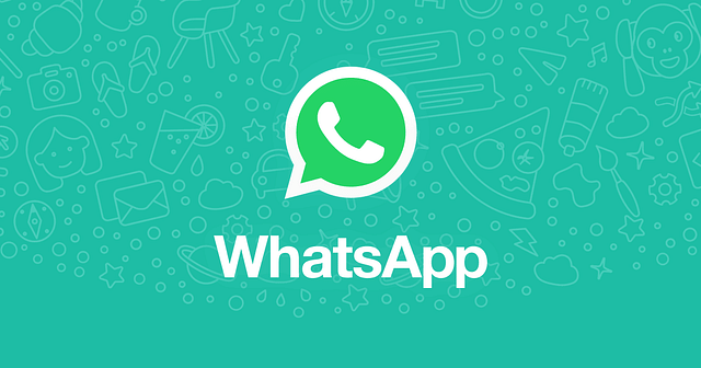 WhatsApp logo (Website/WhatsApp)