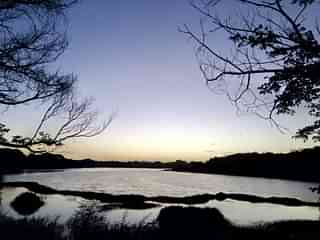 Kukkarahalli Lake, Mysuru (Image: @MysuruWeather/Twitter)
