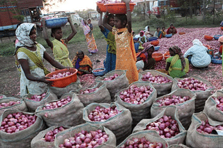 Workers sort out onions at a godown at Lasalgaon, near Nasik. (Santosh Harare/Hindustan Times via Getty Images)