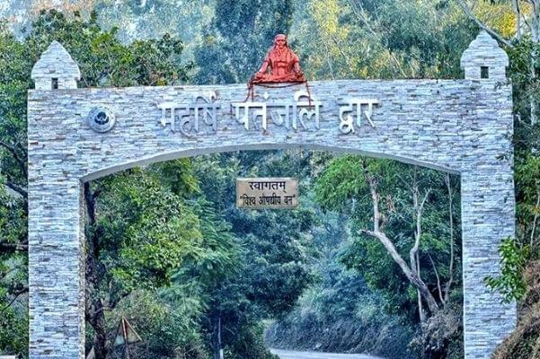 Entrance to the forest.