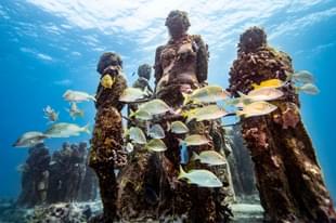 A school of fish swims past the underwater statues. (Representative Image) (Donald Miralle/Getty Images for Lumix)