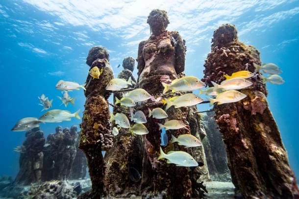 A school of fish swims past the underwater statues. (Representative Image) (Donald Miralle/Getty Images for Lumix)