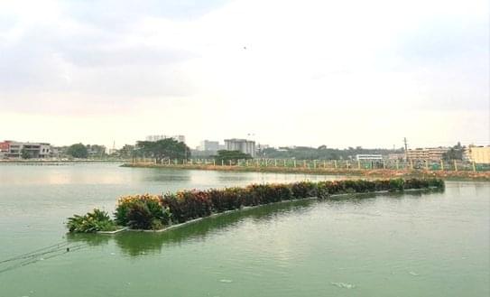 Kiran Mazumdar Shaw’s Biocon Foundation Lake Revival Mission breathes life into Hebbagodi Lake in E-City, Bengaluru. (Image courtesy of twitter.com/Bioconlimited) 