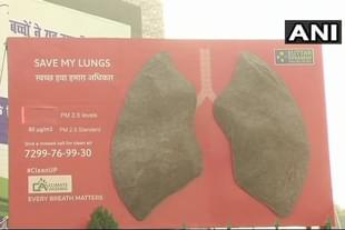 In Lucknow, the artificial lungs installed near Nagar Nigam office in Lalbagh to check air quality in the city turned black within 24 hours (@ANINewsUP/Twitter)