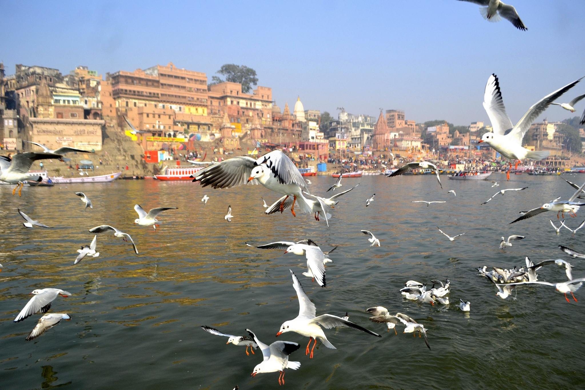 A flock of migratory Siberian birds over the river Ganga in Varanasi. (Rajesh Kumar/Hindustan Times via GettyImages)&nbsp;