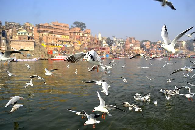 A flock of migratory Siberian birds over the river Ganga in Varanasi. (Rajesh Kumar/Hindustan Times via GettyImages)&nbsp;
