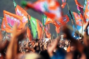 BJP flags