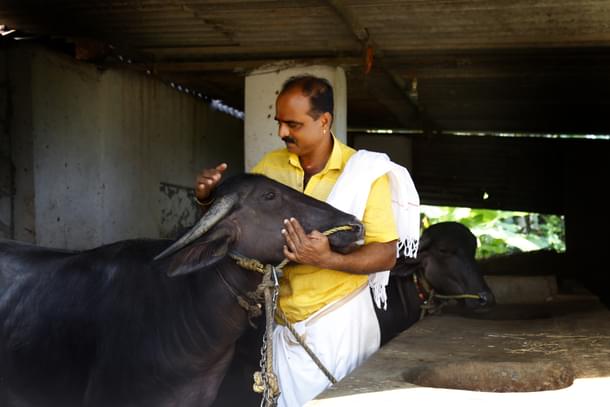 Tiruvailguthu Naveen Chandra Alva with his young 'Raja'