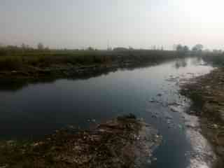 A view of ‘<i>kali nadi</i>’ another Ganga tributary contaminated by illegal slaughterhouse waste - Representative Image <i>(Swarajya)</i>