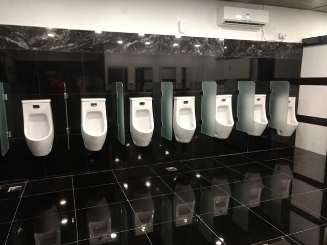 Urinals for men (Srikanth Ramakrishnan/Swarajya)