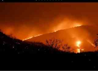 Representative Image of Forest Fire&nbsp;