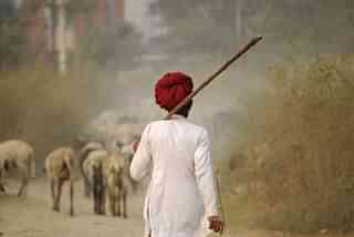  Nomadic shepherd from Rajasthan (Burhaan Kinu/Hindustan Times via Getty Images)