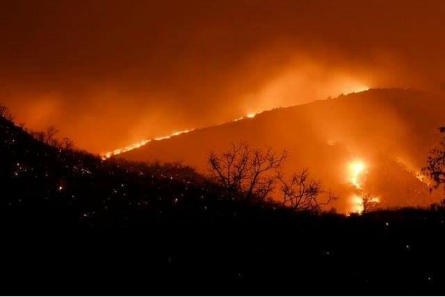 Raging fire in Bandipur Reserve Forest (image via Twitter)