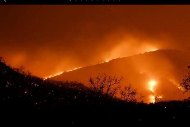 Bandipur forest fire (Twitter/@prasannamysoru)
