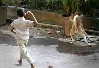 Stray dog menace. (Manoj Patil/Hindustan Times via GettyImages)&nbsp;