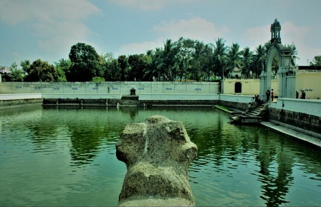 The temple pond of Sirkazhi — from where it all started.