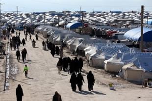 Representative Image (@arieladkins/Twitter)