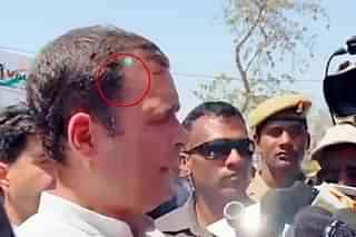 Green laser pointed at Congress President Rahul Gandhi (Pic Via Twitter)