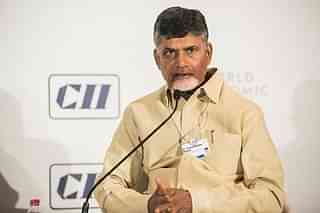 Andhra Pradesh Chief Minister Chandrababu Naidu. (Flickr/WEF)