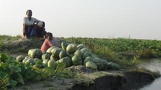 Farmer with their melons at the Katri (the island in the Ganga) &nbsp;