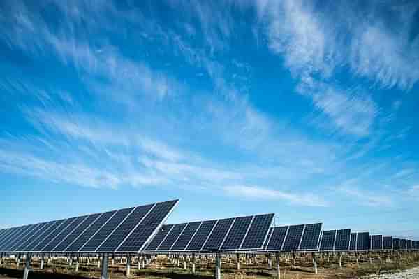 Solar panels arranged in a grid (Representative Image). (Unsplash/American Public Power Association)