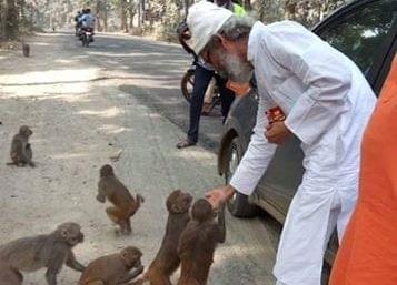 (Source: @SulagnaDash6/Twitter)