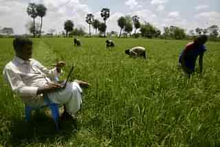 An agriculturist uses the internet in rural Maharashtra (Satish Bate/Hindustan Times via Getty Images)