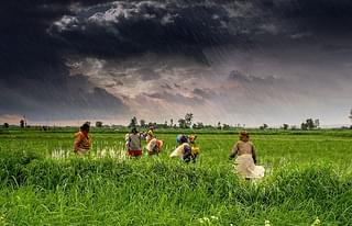 Farmers work in a field in Madhya Pradesh. (Rajarshi Mitra/Wikimedia Commons)