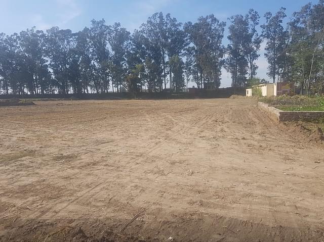 Agricultural land being cleared for the construction work to begin on the Indian side. The trees in the background are a demarcation before the border fencing. (Image Source: Google Place Reviews)