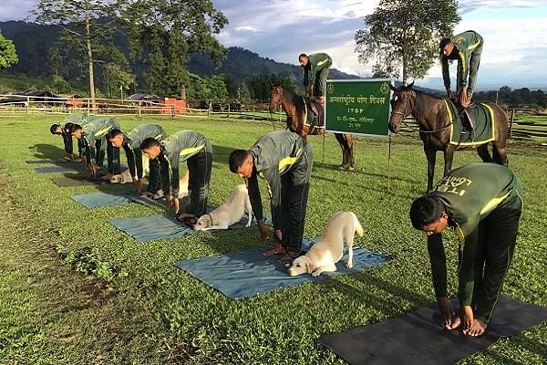 ITBP dogs performing yoga along with humans (@ANI/Twitter)