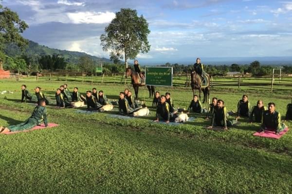 ITBP dogs performing yoga along with humans (@ANI/Twitter)