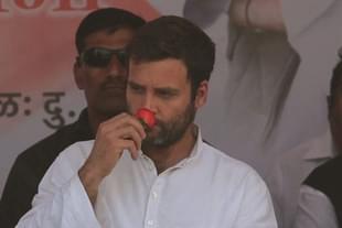 Former Congress president and Wayanad MP Rahul Gandhi. 