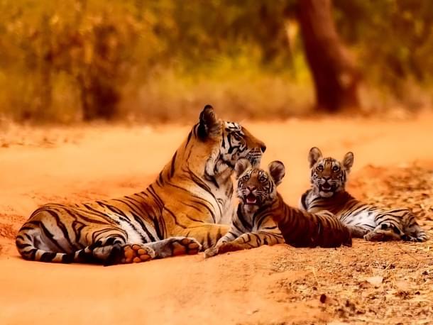 Representative image (Picture by <a href="https://pixabay.com/users/12019-12019/?utm_source=link-attribution&utm_medium=referral&utm_campaign=image&utm_content=2361264">David Mark</a> from <a href="https://pixabay.com/?utm_source=link-attribution&utm_medium=referral&utm_campaign=image&utm_content=2361264">Pixabay</a>) 