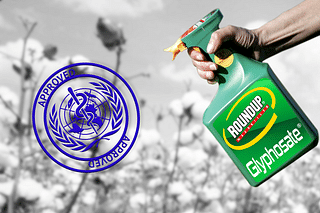 Glyphosate usage not a risk says Chief Scientist at WHO.