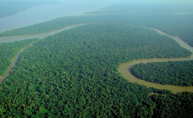 The Amazon Rainforests. (Iubasi via Wikimedia Commons)