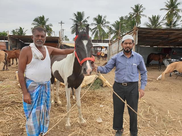 Amanullah Khan with his Kathiyawadi two-year-old mare Laila at the Anthiyur cattle fair.&nbsp;