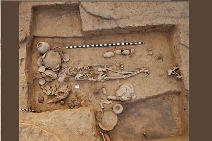  Photograph of the I6113 burial from where the Rakhigarhi DNA sample was obtained. (Source: Cell)&nbsp;