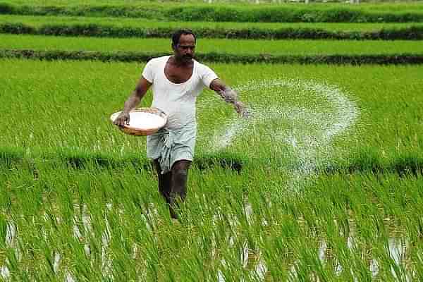 A farmer sprinkles insecticides in his field.