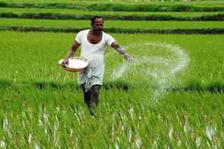 A farmer sprinkles pesticides in his field.