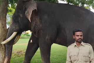 Arjuna with his Mahout Vinu