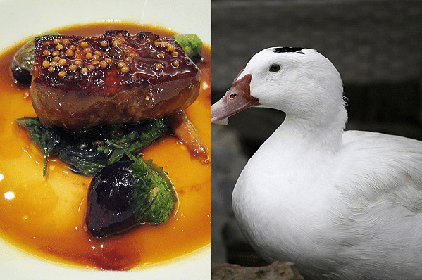 Foie Gras - left, Ducks used for Foie Gras - right