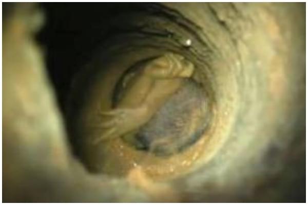 Visuals of the tragedy 