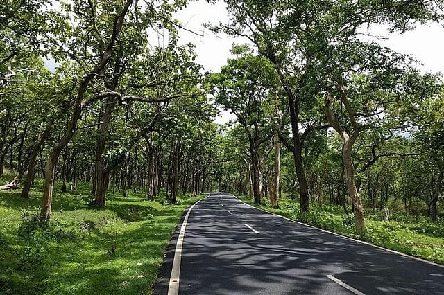 The road along the Bandipur Tiger Reserve and National Park. (Wikimedia Commons)