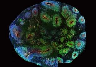 Source: @Iconoclasticoon/Twitter