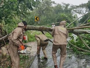 Odisha fire personnel removing uprooted trees in Baliapal area of Balasore. (Twitter/@BijayKumarShar7 - DG Police, Odisha) 