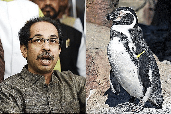 Uddhav Thackeray - left,&nbsp;