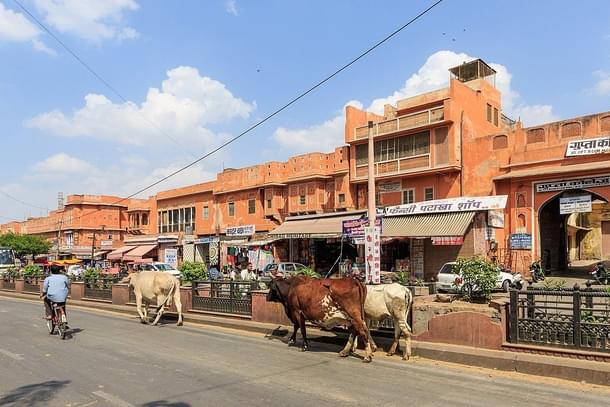Jaipur (Representative Image) (A Savin/Wikimedia Commons)