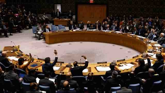 UNSC (representative image) (Source : Twitter)