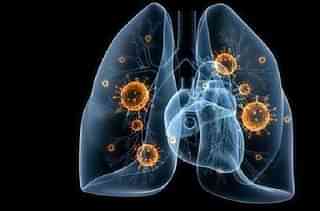 The coronavirus detected inside a pair of lungs.&nbsp;