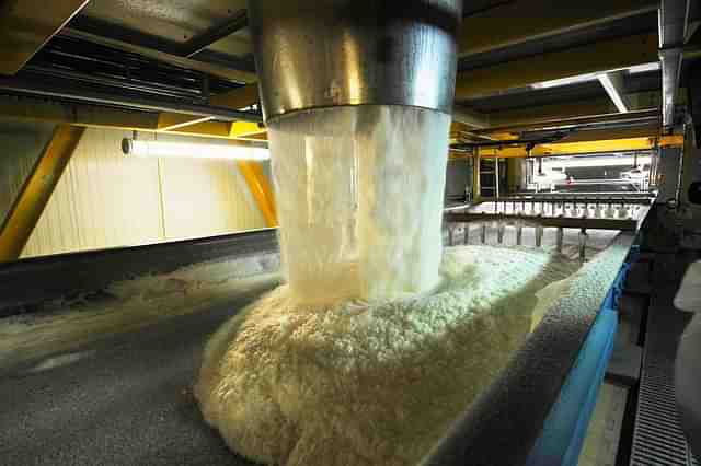 Raw sugar in a factory.&nbsp;